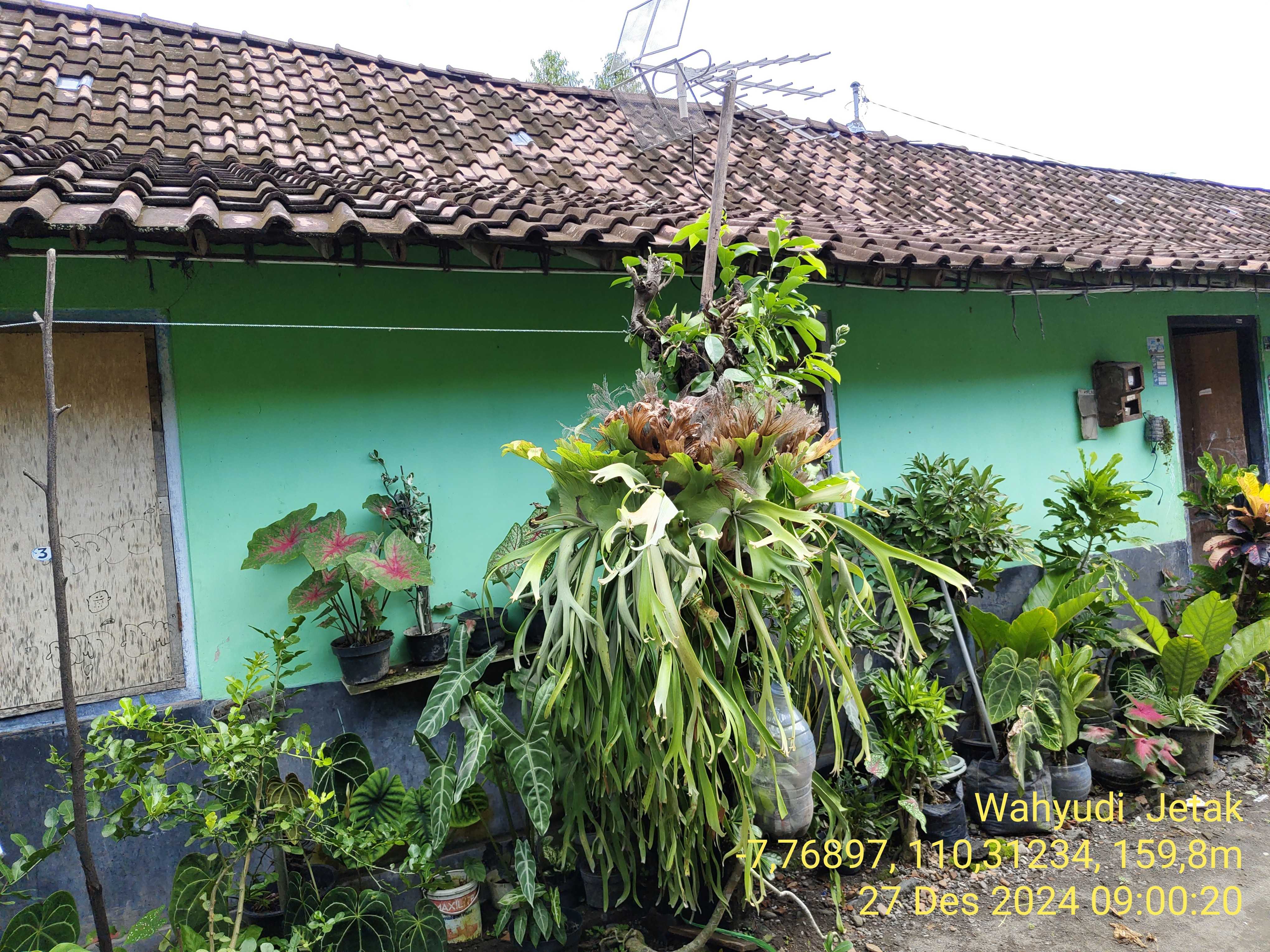 Foto Rumah 0% WAHYUDI